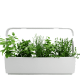 Farming and Forestation