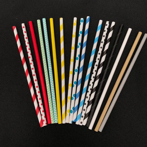 Biodegradable Disposable Paper Straw