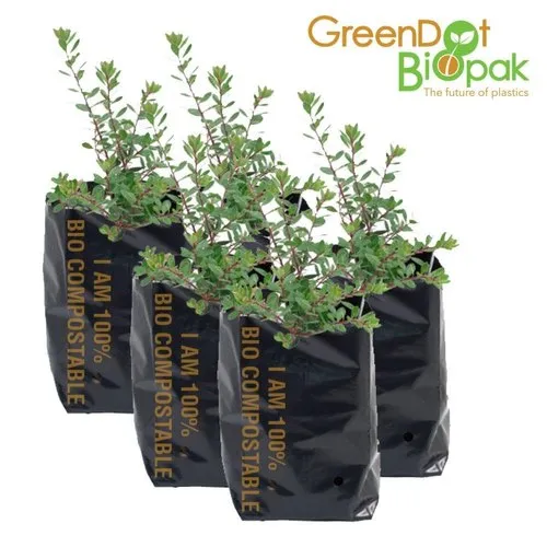 Compostable Nursery Bag