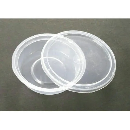Plastic Food Packaging Container
