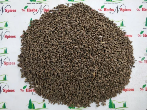 Ambadi Seeds - Hibiscus Seeds