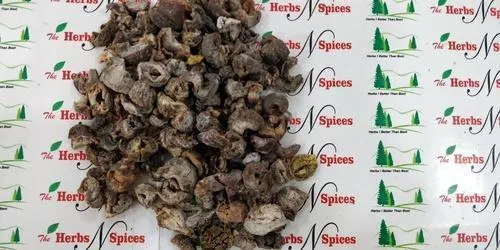 Amla Fruit Seedless - Awla Seedless - Phyllanthus Emblica