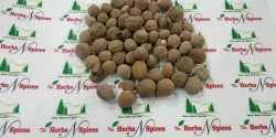 Baheda Fruit Whole Dry - Bibhitaki - Terminalia Bellirica