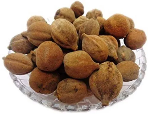 Baheda Seeds - Bibhitaki Beej - Terminalia Bellerica