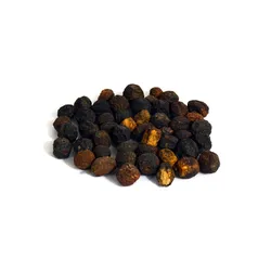 Bakayan - Melia Azedarach - Maha Neem - Chinaberry
