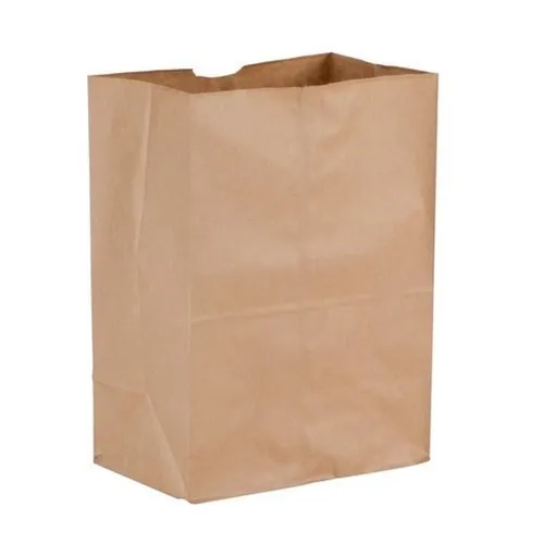 Brown Paper Grocery Bag