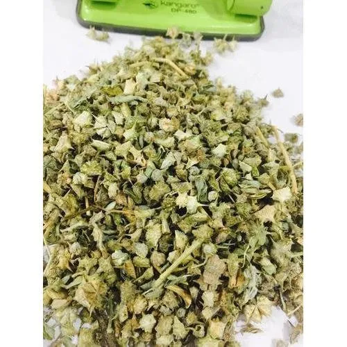 Gokhru Chota - Tribulus Terrestris - Gokshura Fruit