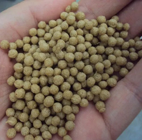 Floating Fish Feed