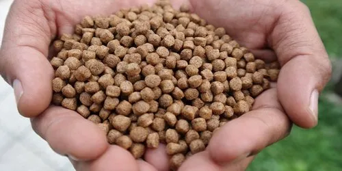 Floating Fish Feed