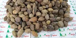 Harad Fruit - Haritaki - Terminalia Chebula - Harra - Kabuli Harad