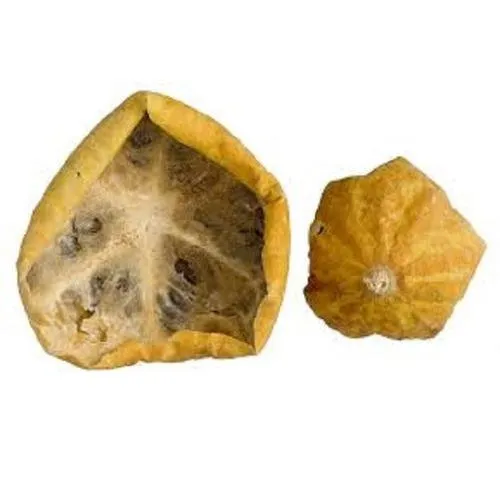 Indrayan Phal - Kadwa Nimbu - Citrullus Colocynthis