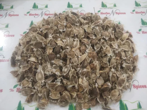 Moringa Seeds - Drumstick Seeds - Sahajana - Sahijan