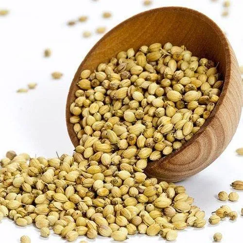Coriander Seeds Organic