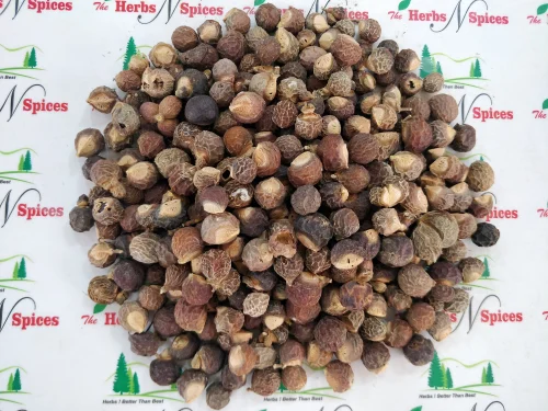 Reetha - Soapnut - Sapindus Trifoliatus - Aritha