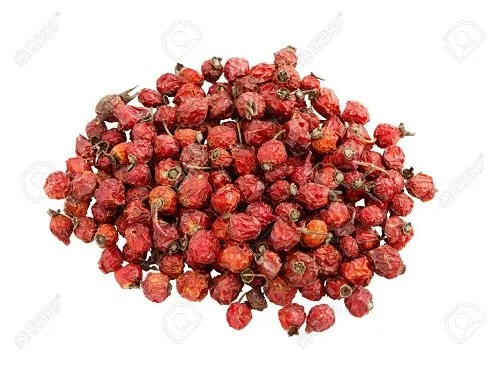 Rosehip - Rose Hip Fruits - Rose Fruit