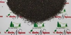 Satyanashi Seeds- Dhatura Metal