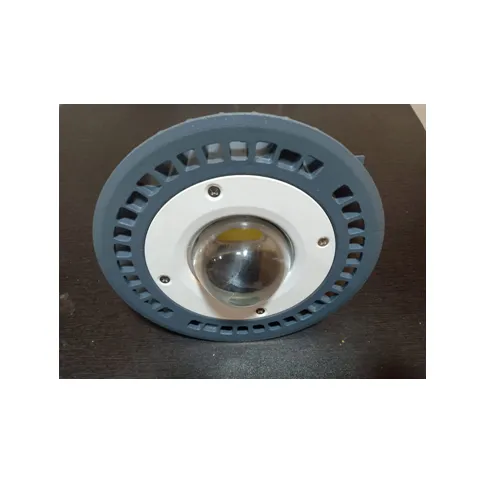 SSK-FAFLP WG-30W LED Flameproof Lights