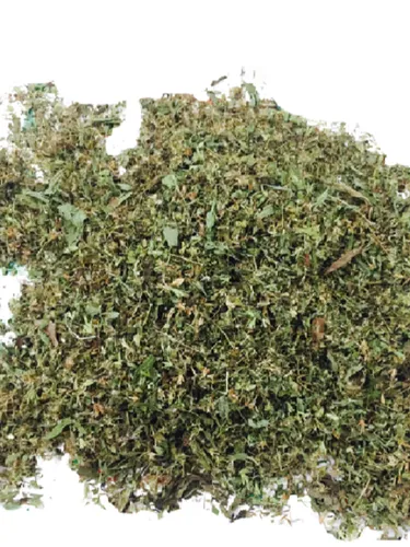 Stevia Seeds - Stevia rebaudiana
