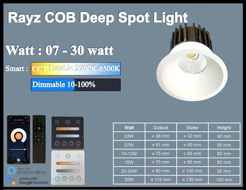 Smart Light - COB Deep Spot Light