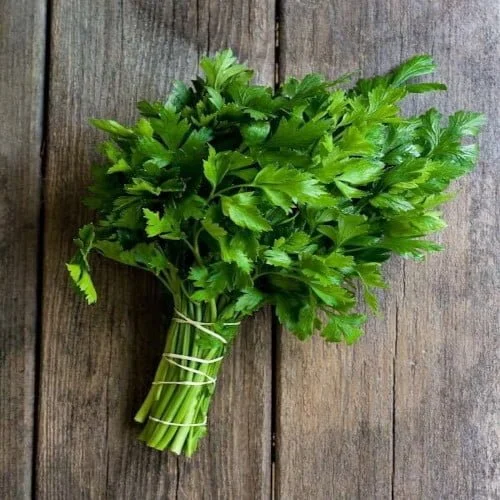 Coriander Seeds (100seeds)