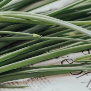 Lemon Grass Seeds (30seeds)