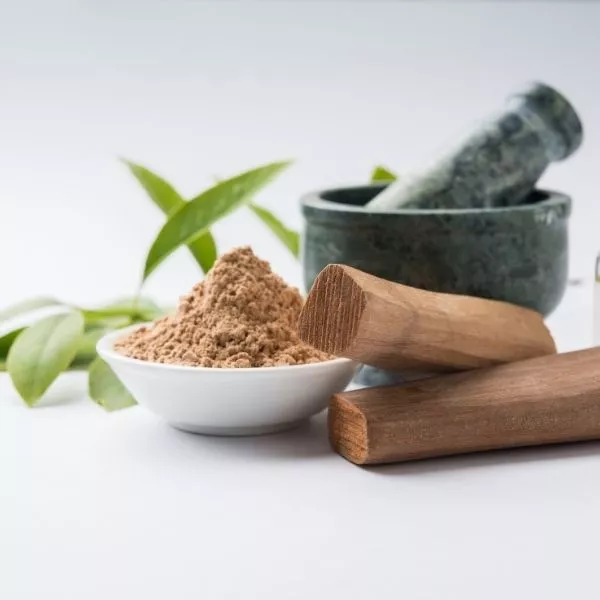 Red Sandal Wood (5 Seeds)