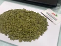 Pumpkin Seeds Kernel