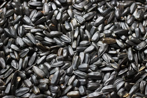 Natural Sunflower Seeds