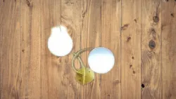 2 Way Vanity Light