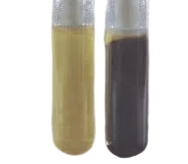 Hydrogen Sulphide