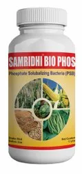 Phosphate Solubilizing Bacteria