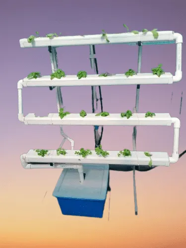 24 plants NFT hydroponics system