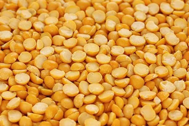 Shahapur Farmer Services Producer Company Ltd.