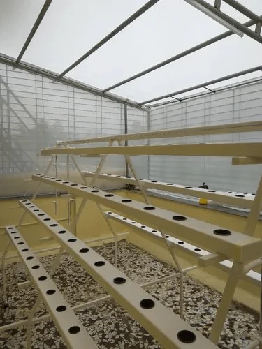 Hydroponic Pilot/ Proto Nft Projects