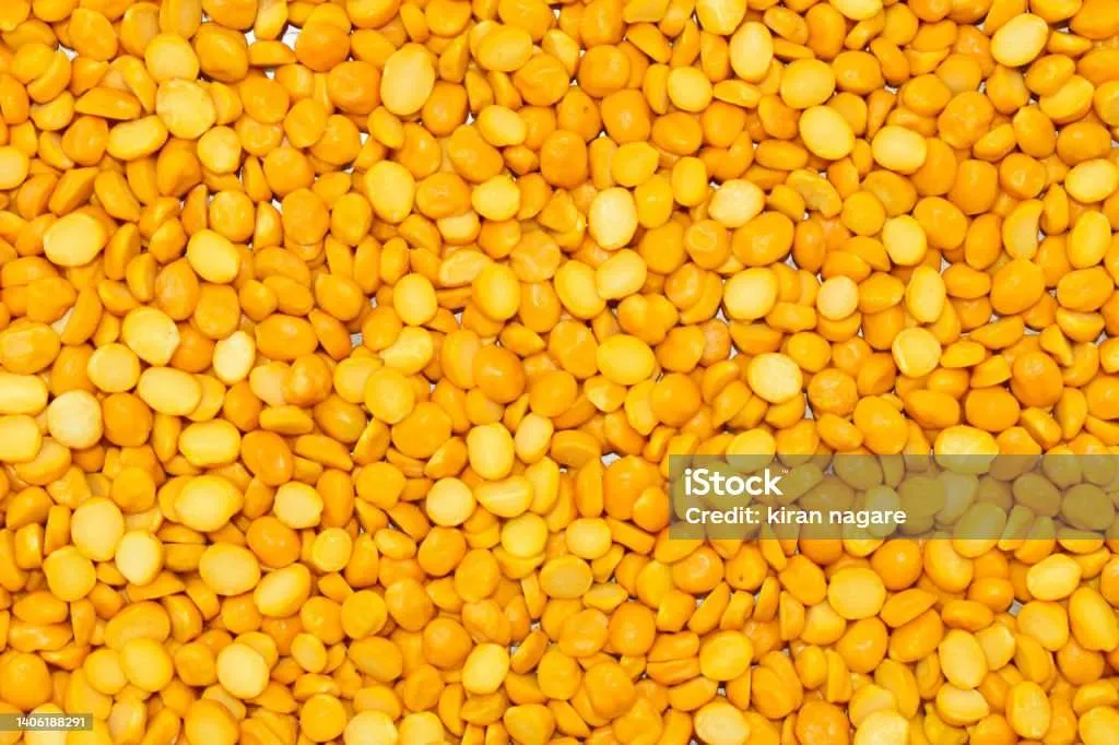 22W LED Gold Panel Light
