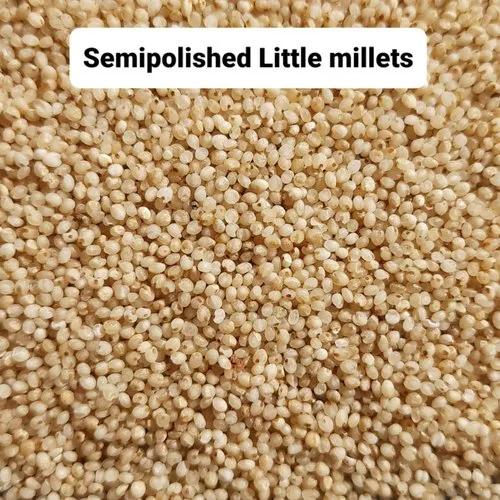 Samai Rice, Packaging Size: 30kg and 50kg, Organic