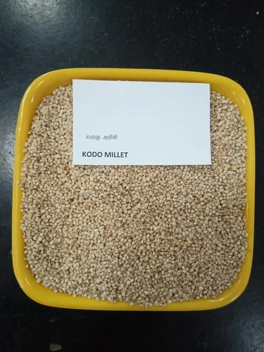 Kodo Millet, Packaging Size: 25 kg, Gluten Free