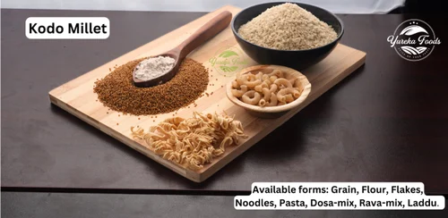 Kodo Millet Flour