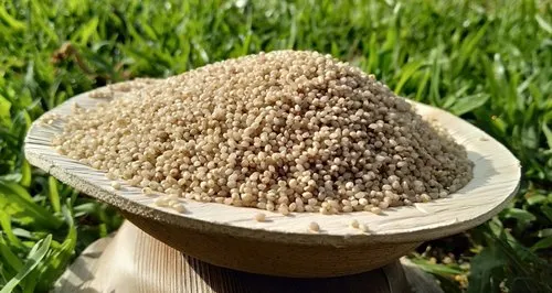 Natural Little Millet Unpolished