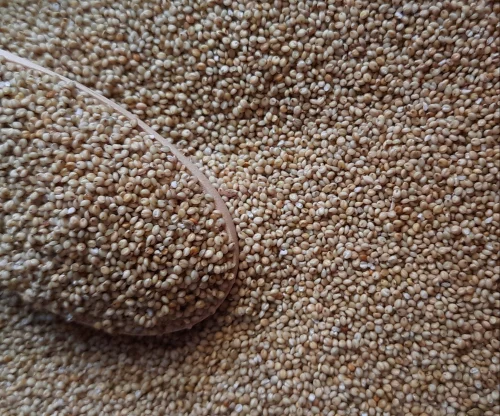 Unpolished Brown Top Millet
