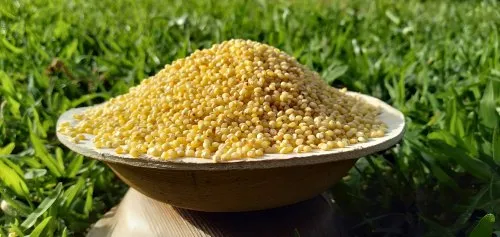 Proso Millet Unpolished, High in Protein
