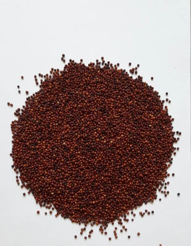 Natural Dry Finger Millet Ragi