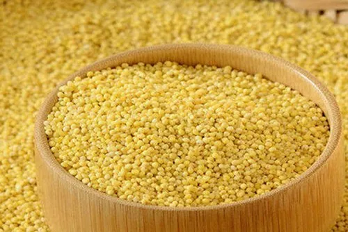 Yellow Foxtail Millet Rice, Packaging Size: 30 Kgs, High in Protein