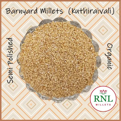 Organic Semi Polished Barnyard Millets