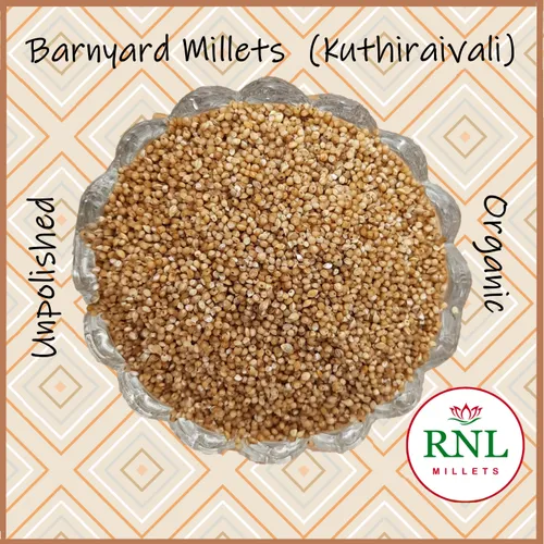 Brown Unpolished Barnyard Millets, High in Protein