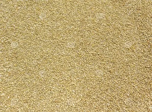 Green Browntop Millets, High Fibre