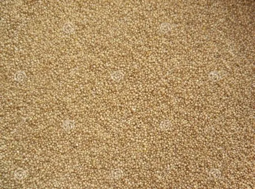 Little Millet, Packaging Size: 1000gm, High fibre