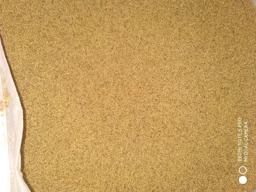 Foxtail Millet, Organic