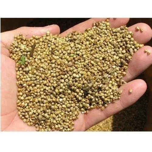 Natural Pearl Millet