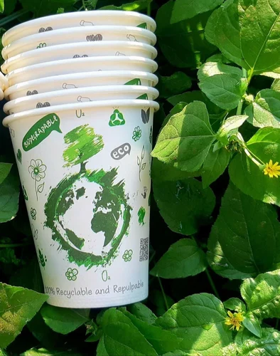 Biodegradable Paper Cup